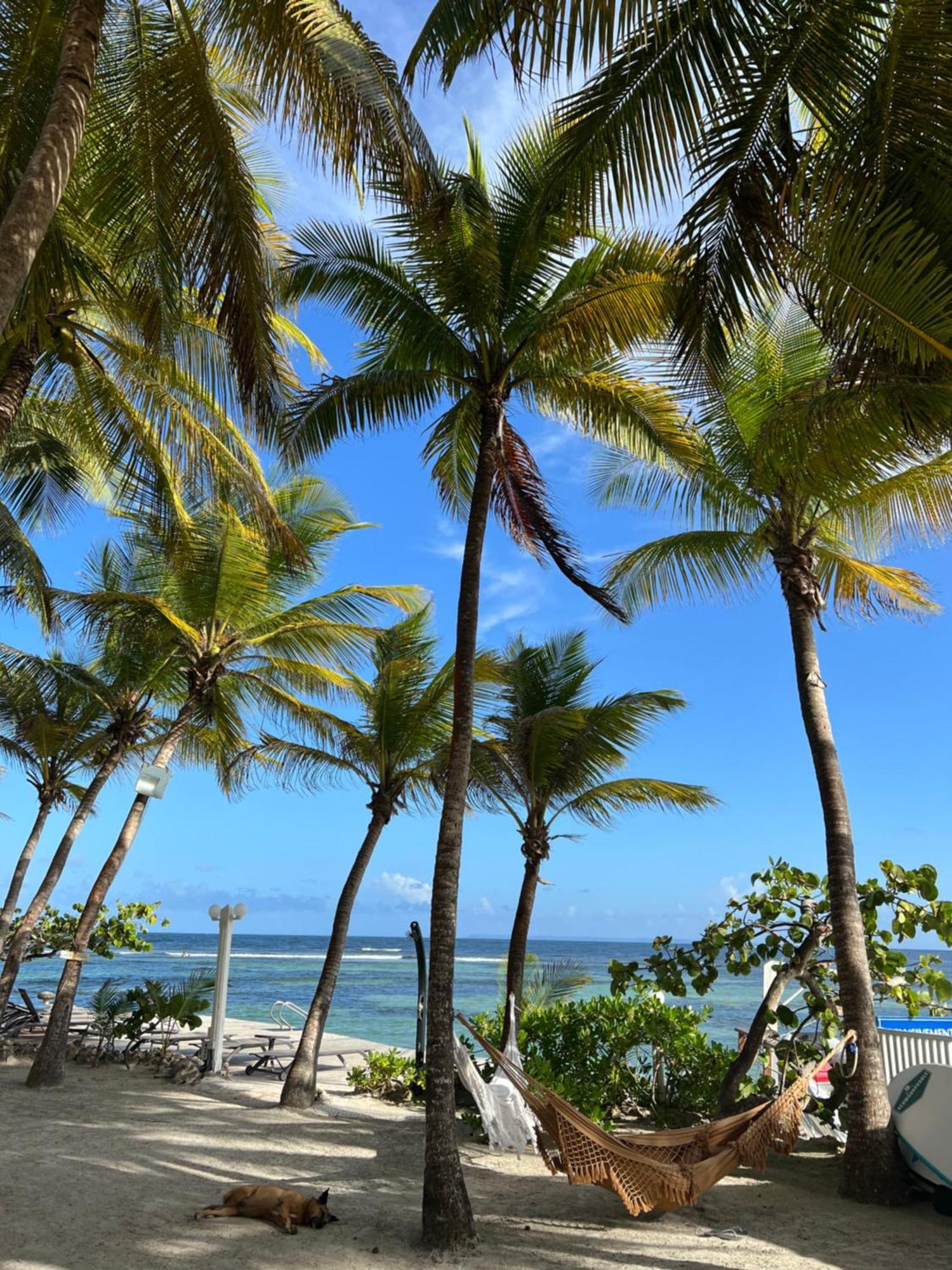Guadeloupe- Saint-Francois- Residence Anse Des Rochers - Appartement Quart De Villa Etage - Vue Mer- 4 Personnes - Lit Bebe Sur Demande - Citerne Et Wifi Prives -Animaux Ok-Acces Plage Direct -Apnee Bien-Etre Experience Sur Demande Avec Instructeur A Exterior foto